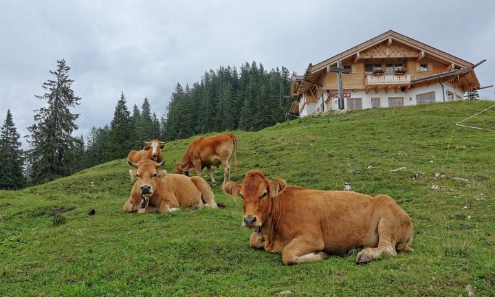 Berggasthof Kreuzalm